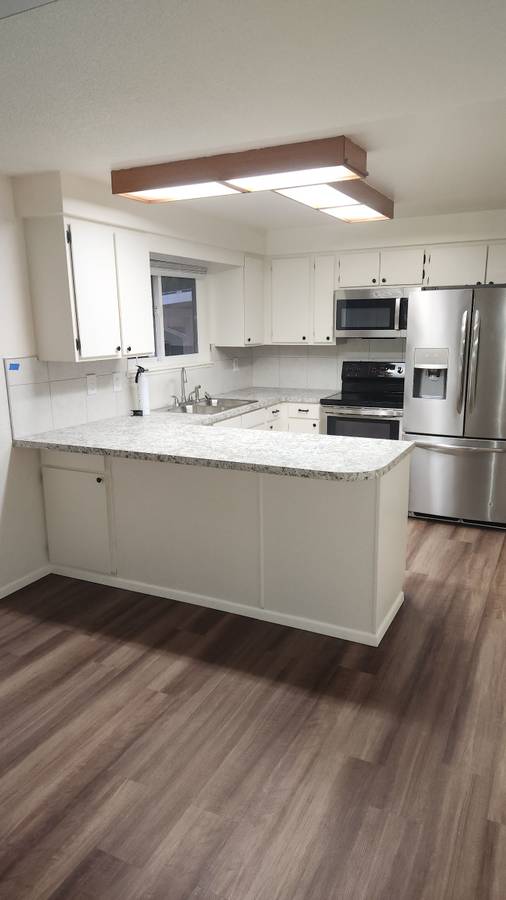 1007 S Holly St photo 5