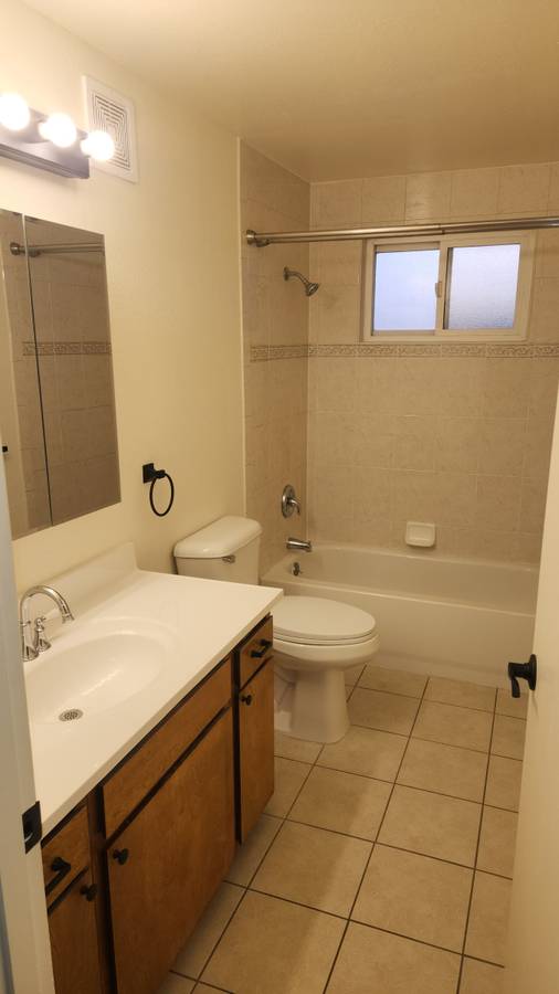 1007 S Holly St photo 7